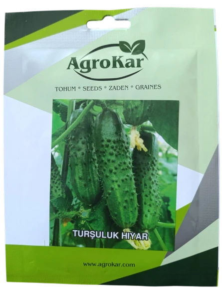 Kornişon (Turşuluk) Hıyar Tohumu 10 gr ürün görseli 1