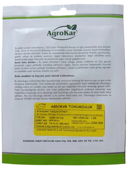 Mor Havuç Tohumu 1 gr - Resim 2