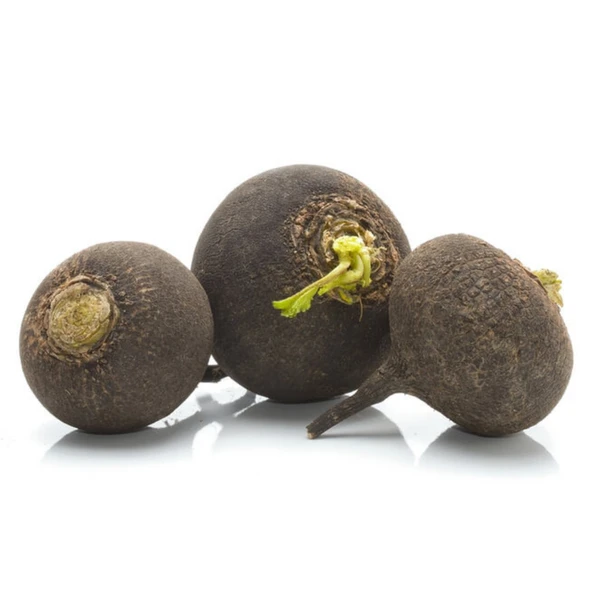 Siyah Turp Tohumu 10 gr - Resim 3