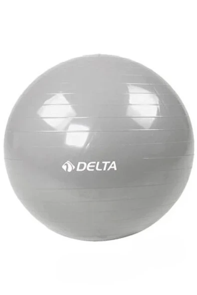 Delta SLV805 Gümüş Pilates Topu 20 cm ürün görseli 1
