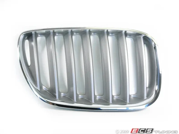 Bmw X5 2004-2006 Ön Panjur Nikelaj Tıtan Sağ (Oem No: 51137124816) ürün görseli 1