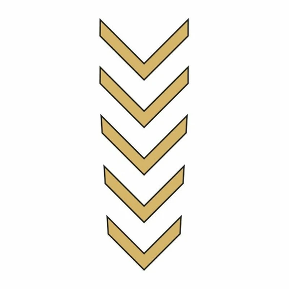 CG GOLD ÇAMURLUK ÜST STİCKER ürün görseli 1