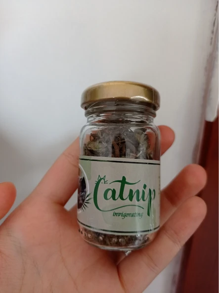 Catnip Doğal Otu - Nanesi - Resim 2