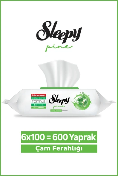 Sleepy Pine Yüzey Temizlik Havlusu&Mendili Çam Ferahlığı 6x100 (600 Yaprak) ürün görseli 1