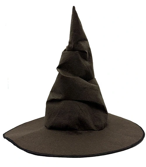 Harry Potter Seçmen Şapkası Çocuk Boy ürün görseli 1