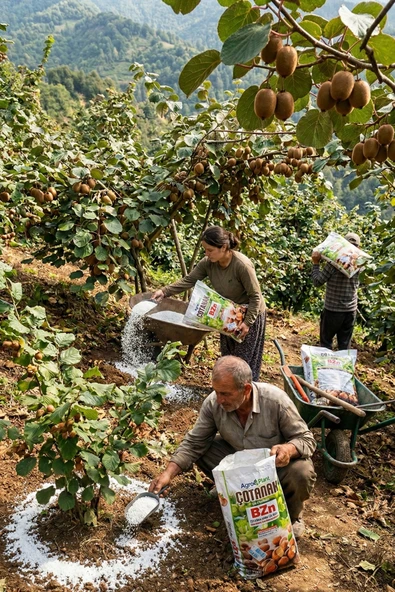 Agroplant Çotanak BZn Gübre 10 kg ürün görseli 1