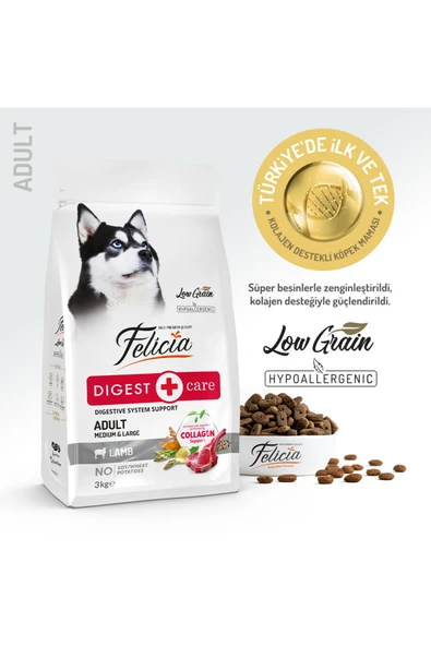 Felicia 3 Kg Yetişkin Kuzulu M/Large Az Tahıllı Breed HypoAllergenic Köpek Maması ürün görseli 1