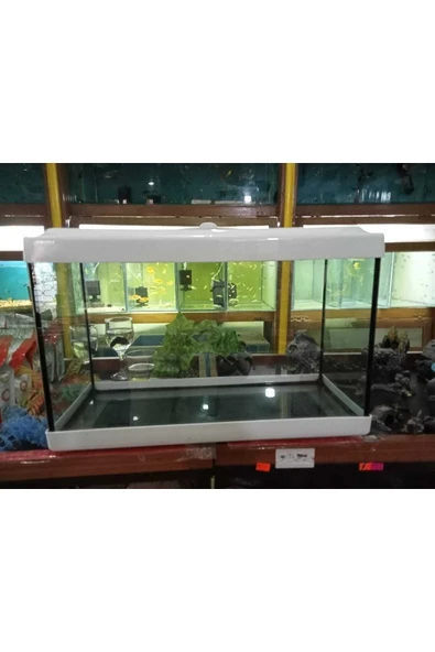 ikizlerakvaryum Akvaryum 50 Cm Beyaz Renk ürün görseli 1