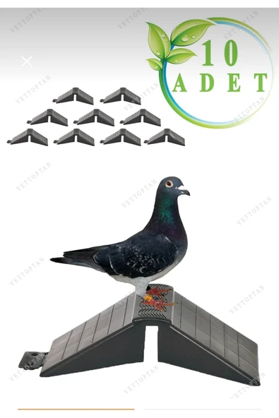 MUTLU TAVUKÇULUK Tünek Güvercin Bekar Tüneği 10 Adet Plastik Kuş Pigeon Yuva Taklacı Hünkari Balon Hatay Güvercini ürün görseli 1