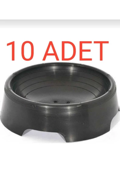 Güvercin Yumurta Folluğu 10 Adet ürün görseli 1