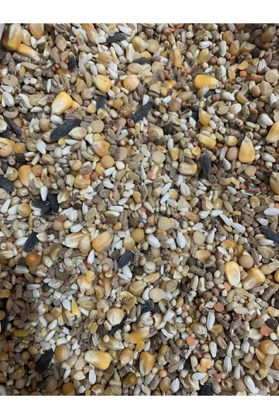 10 Kg Güvercin Yemi Buğdaysız Karışık ürün görseli 1