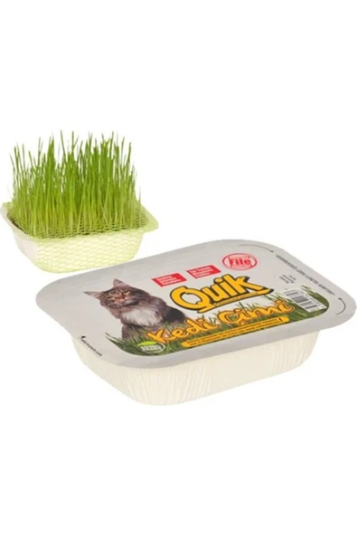 Quik Doğal Kedi Çimi CB9944 ürün görseli 1