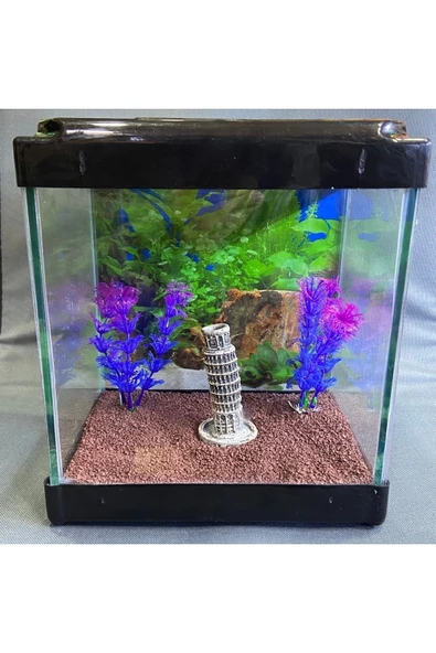 Fauna Pet Supplies Japon Balığı, Beta Balığı Için Mini Akvaryum 4lt. (KARIŞIK) (AKSESUAR SETİ HEDİYELİ) ürün görseli 1
