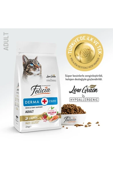Felicia 2 Kg Yetişkin Somonlu Az Tahıllı HypoAllergenic Kedi Maması ürün görseli 1