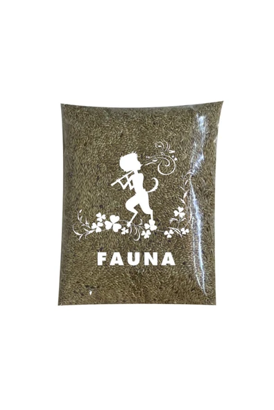 Fauna Pet Supplies 1kg Kanarya Yemi Sade Haspur Aspur ürün görseli 1