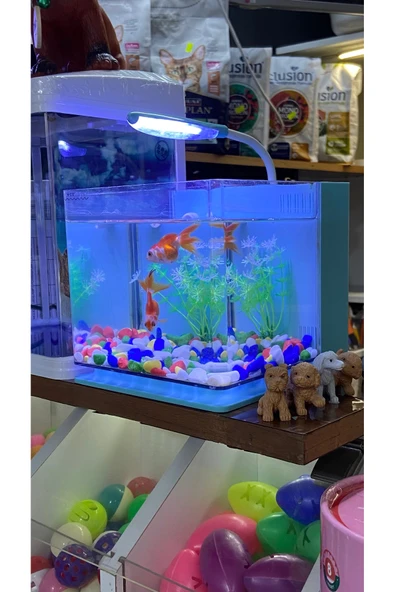 Fauna Pet Supplies Beta Tetra Lepistes Japon Balıkları Için Mini Akvaryum (Beyaz/Siyah/Mavi) ürün görseli 1