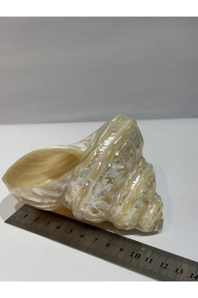 gemsartdeco UNDOSA SHELL - Resim 8