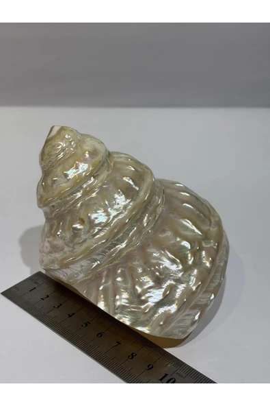 gemsartdeco UNDOSA SHELL - Resim 4