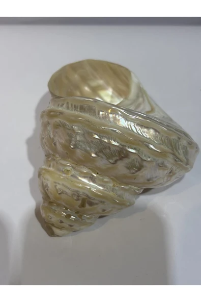 gemsartdeco UNDOSA SHELL ürün görseli 1