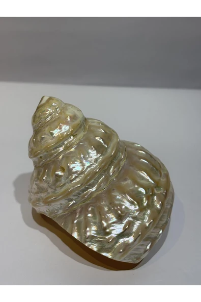 gemsartdeco UNDOSA SHELL - Resim 7
