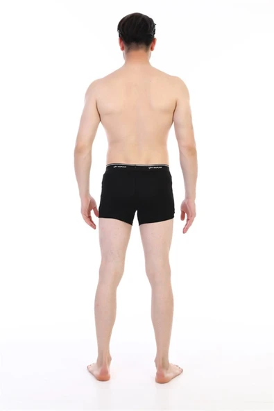 Çift Kaplan 850 Biyeli Likralı Erkek Boxer - Resim 6