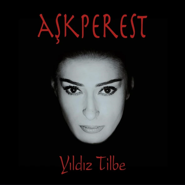 Yıldız Tilbe Aşkperest - Plak ürün görseli 1