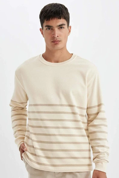 Defacto Comfort Regular Fit Rahat Kalıp Bisiklet Yaka Çizgili Kalın Sweatshirt D2397AX24AU ürün görseli 1