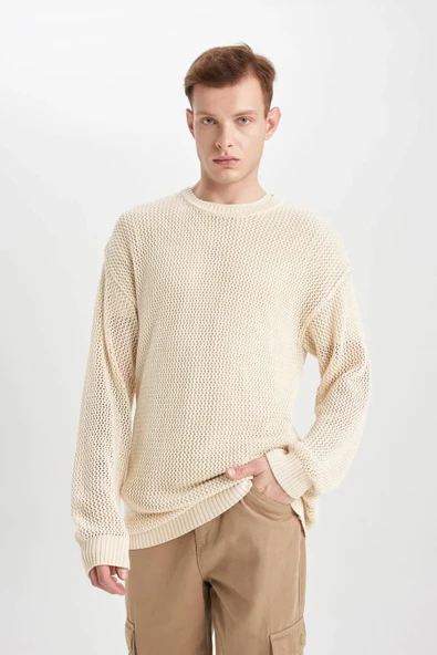 Defacto Regular Fit Bisiklet Yaka Kroşe Delikli Triko Sweatshirt C0013ax23wn ürün görseli 1