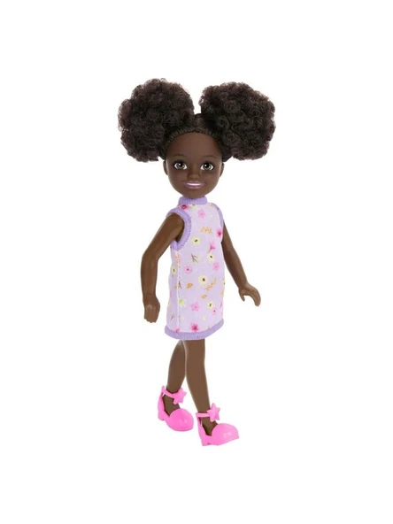 Mattel Barbie Chelsea Bebek Serisi DWJ33 HXM96 ürün görseli 1