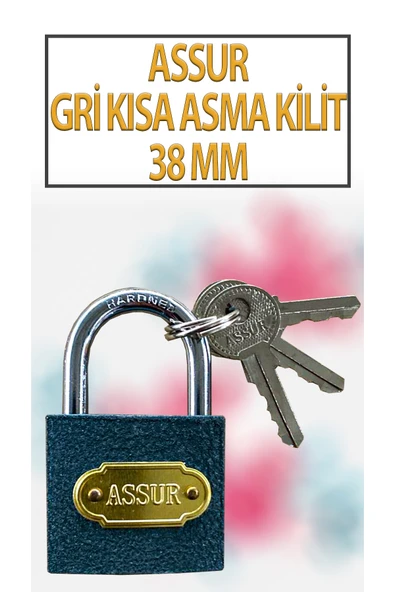 Kısa Tip Gri Asma Kilit 38 MM 3 Anahtarlı ürün görseli 1