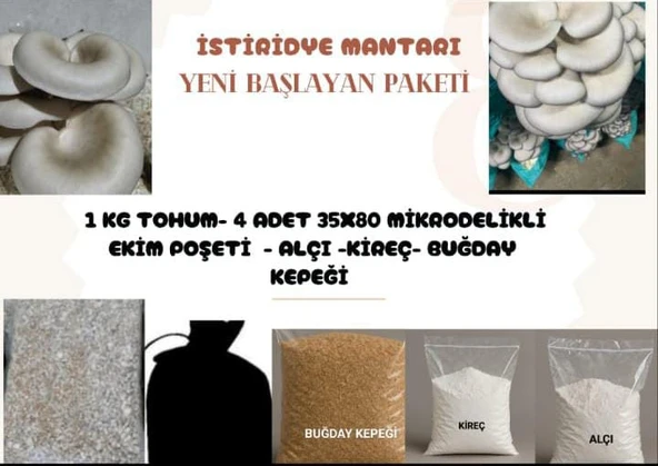 İstiridye MantarYetiştiriciliği (Yeni başlayan Paketi) ürün görseli 1