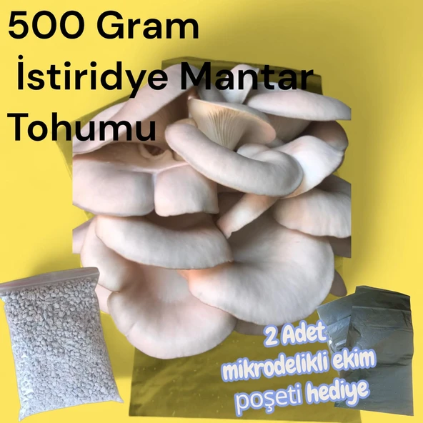 500 Gram İstiridye Mantar Tohumu (  2 adet Ekim Poşeti hediyeli) ürün görseli 1