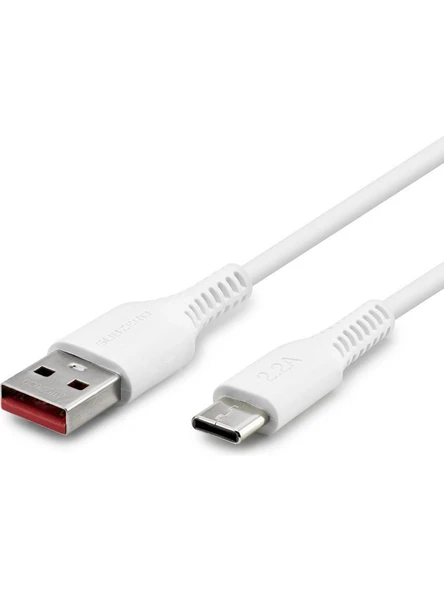 Subzero CL48 TYP-C Hızlı Şarj ve Data Kablosu 2,4A /2M - Resim 2