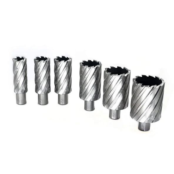 16 mm Weldon Sap Manyetik Matkap Ucu 55 mm Derinlik  Sedef 1 Adet ürün görseli 1