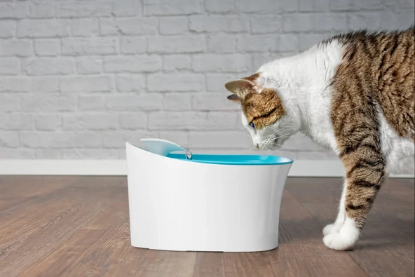 Otomatik Uyarılı Kedi Köpek Su Kabı ürün görseli 1