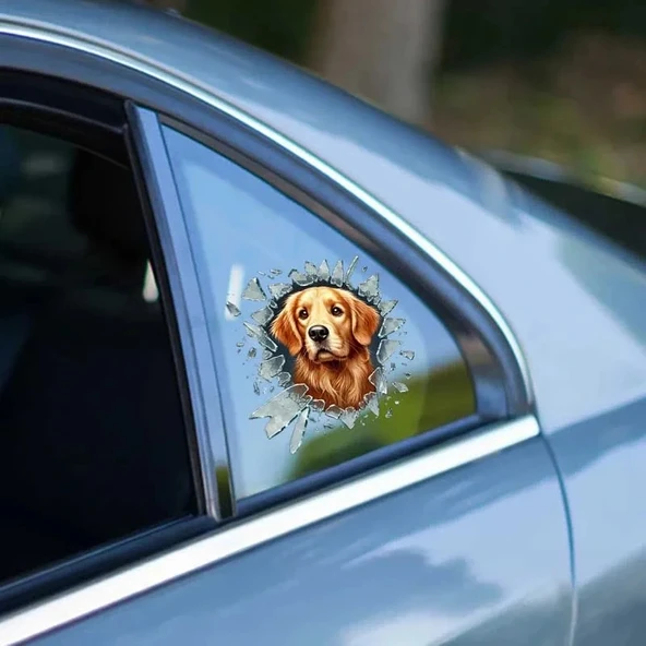 Fulcar Golden Araç Stickerı ürün görseli 1
