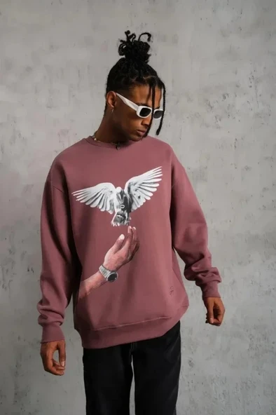 Erkek Güvercin Baskılı Sweatshirt - Gül Kurusu - Resim 3