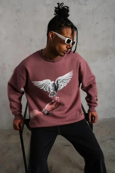 Erkek Güvercin Baskılı Sweatshirt - Gül Kurusu - Resim 2