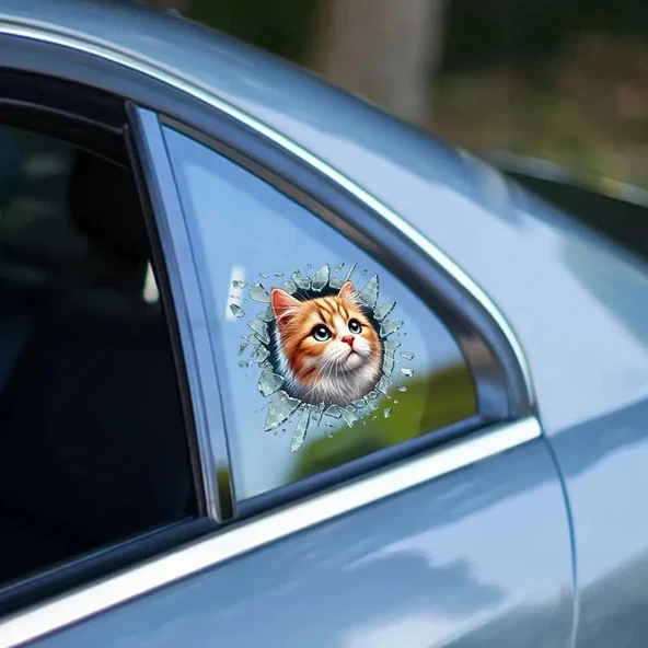 Fulcar Sarman Araç Stickerı ürün görseli 1