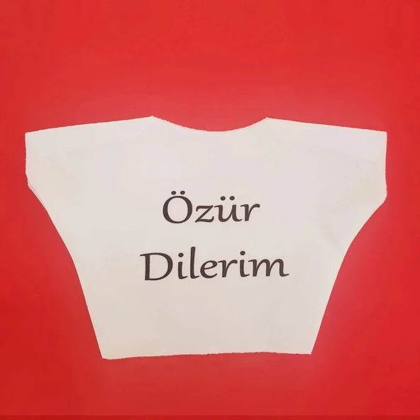 Özür Dilerim Yazılı Peluş Oyuncak Ayı Tişörtü ürün görseli 1