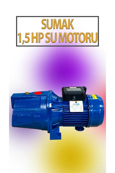 1,1 KW 1,5 HP 2820 D/D 5,8 A. Su Motoru 220 V/50 Hz Su Pompası Jet Pompası ürün görseli 1