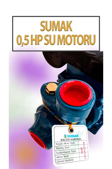 0,5 HP Su Motoru 220 Volt 2,4 Amper - Resim 4