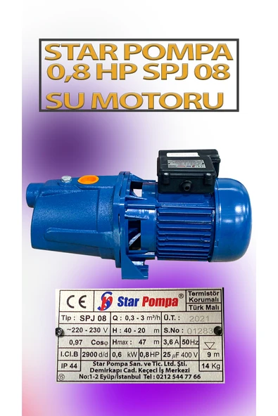 0,6 KW 0,8 HP 2900 D/D 3,6 A. Su Motoru 220 V/50 Hz Termistör Korumalı Pompa ürün görseli 1