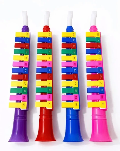 Renkli Plastik Melodika ürün görseli 1