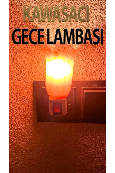 Nostaljik Pembe gece lambası, flaşlı, çıt çıt anahtarlı, 7 watt ampüllü, şık ve kullanışlı ürün görseli 1