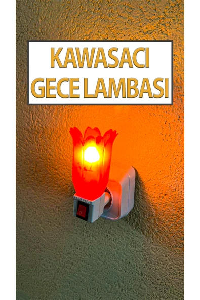 Nostaljik Gece Lambası Kendinden Fişli Çıt Çıt Anahtarlı 7 Watt Ampullü Çiçek Model ürün görseli 1