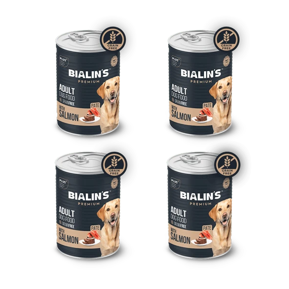 4'lü Yetişkin Köpek Maması - Somonlu 400 Gram ürün görseli 1