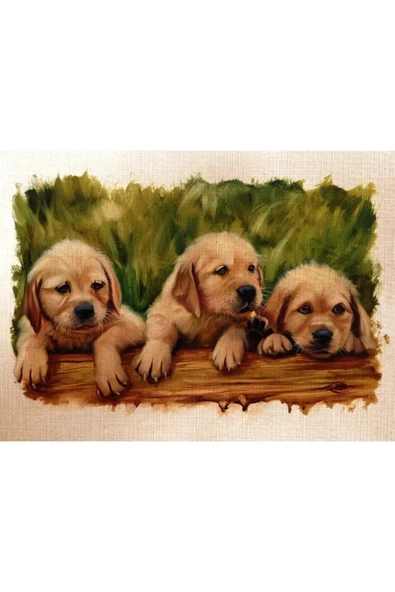 Yavru Köpekler Canvas Tablo (50x70) - Resim 2