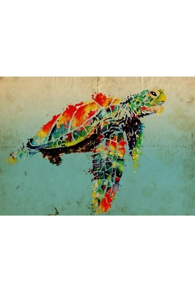 Renkli Kaplumbağa Canvas Tablo (50x70) - Resim 2