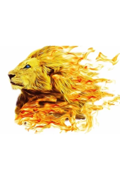 Aslan Kral Canvas Tablo (50x70) - Resim 2
